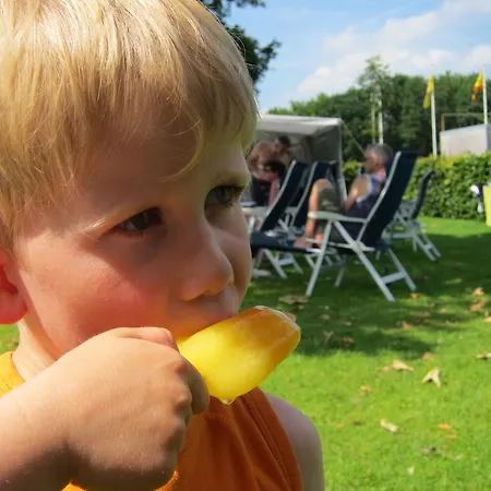 Pipowagen Minicamping De Linde * Merselo