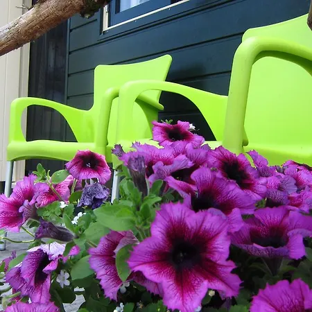 Pipowagen Minicamping De Linde בית הארחה