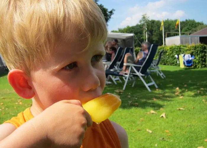 Pipowagen Minicamping De Linde * Merselo