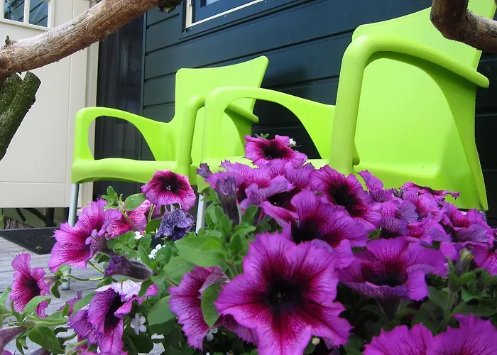 Pipowagen Minicamping De Linde Guest house