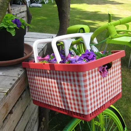 게스트하우스 Pipowagen Minicamping De Linde