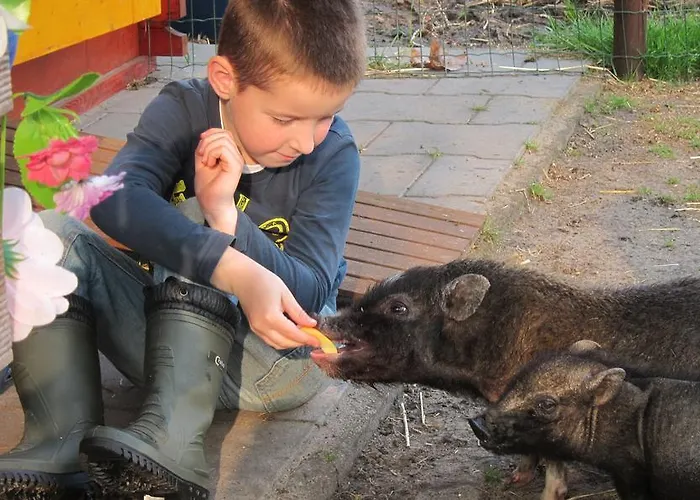Pipowagen Minicamping De Linde Gæstehus Merselo